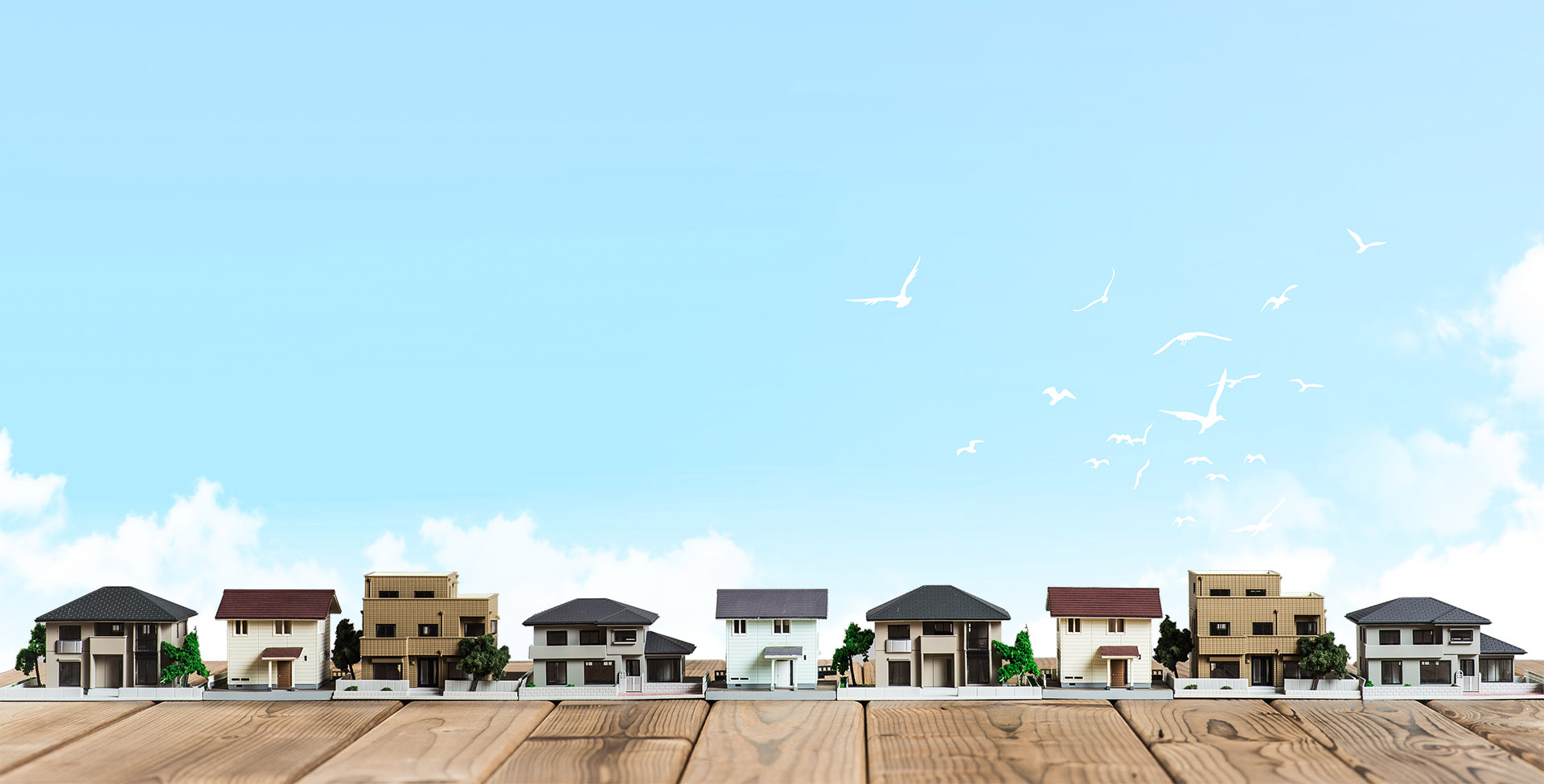 メインイメージ